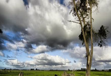 天涯论坛煮酒论史排名大揭秘，不看不知道原来历史大佬这么可怕！