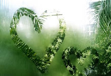 天涯论坛牛元帅：一个被网络选中的平凡人