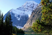 柯蓝在天涯情感论坛上的情感冒险